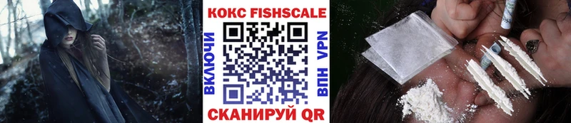 Кокаин Fish Scale  даркнет сайт  KRAKEN зеркало  Будённовск 