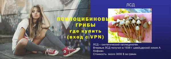 ГАЛЛЮЦИНОГЕННЫЕ ГРИБЫ Баксан