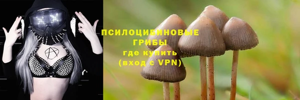 a pvp Балахна