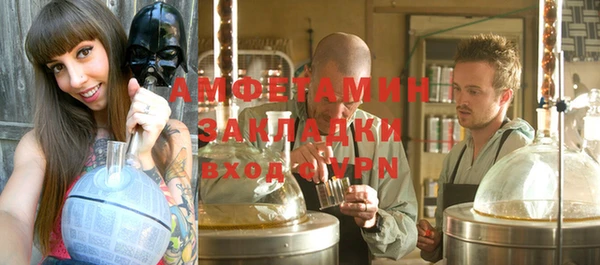 гашик Сосновка