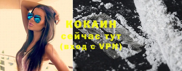 ешки Заречный