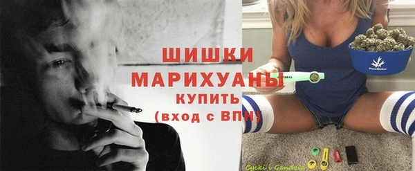 ГАЛЛЮЦИНОГЕННЫЕ ГРИБЫ Баксан
