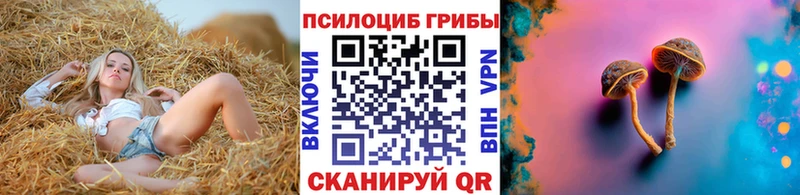 Галлюциногенные грибы Psilocybe  Будённовск 
